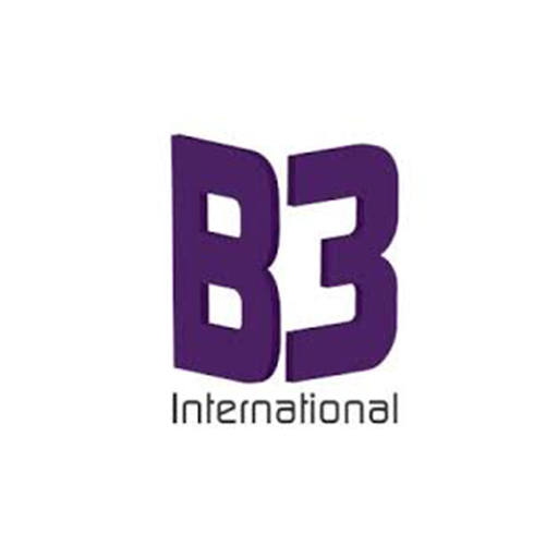 B3 International